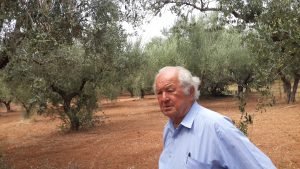 My dad in a blue shirt with pen in pocket standing in a grove of his Olive Trees