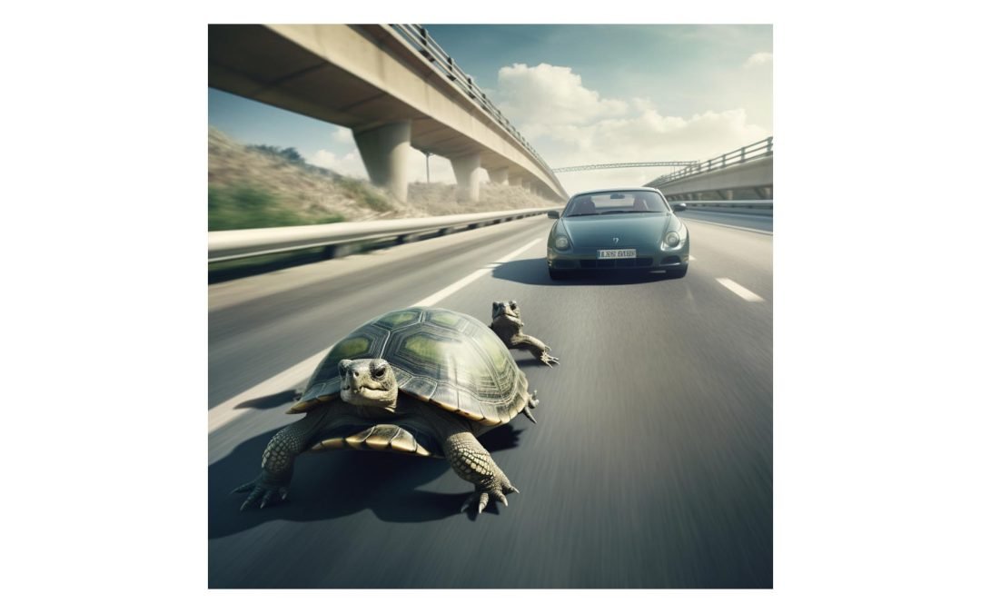 Turtle walking down the road with a car behind it