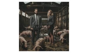 buisnes couple in a pig sty surrounded by pigs