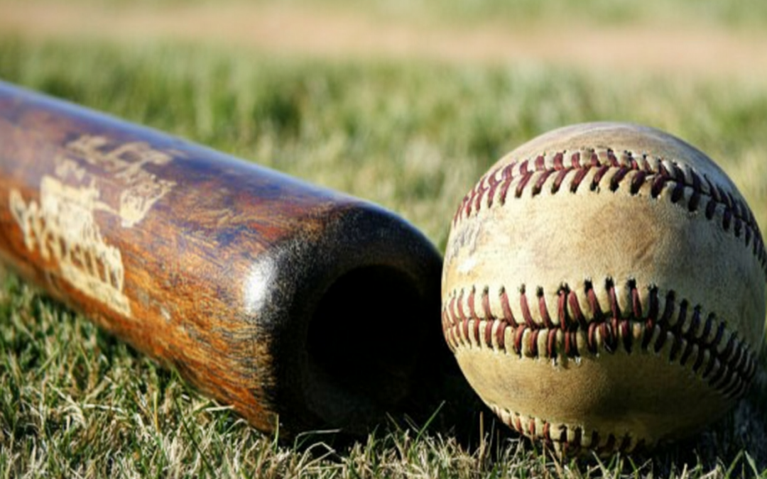 picture of a ball and an old weathered baseball bat on the grass