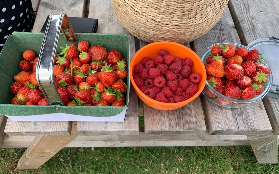 3 baskets.. left and right ones are full of red and ripe strawberries. The orange bowl in middle is raspberries.