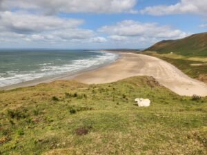 Sheep resting on a grassy cliff overlooking Rhossili Bay in Wales, with a wide sandy beach and rolling waves under a bright blue sky with scattered clouds.