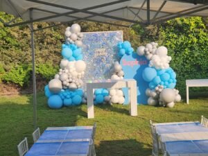 Blue white and silver balloons set up next to a sign saying happy 6th Birthday Sophia in front of green bushes on a beautiful sunny day