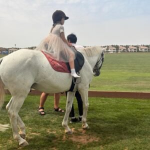 girl on a white horse overlooking the polo grounds